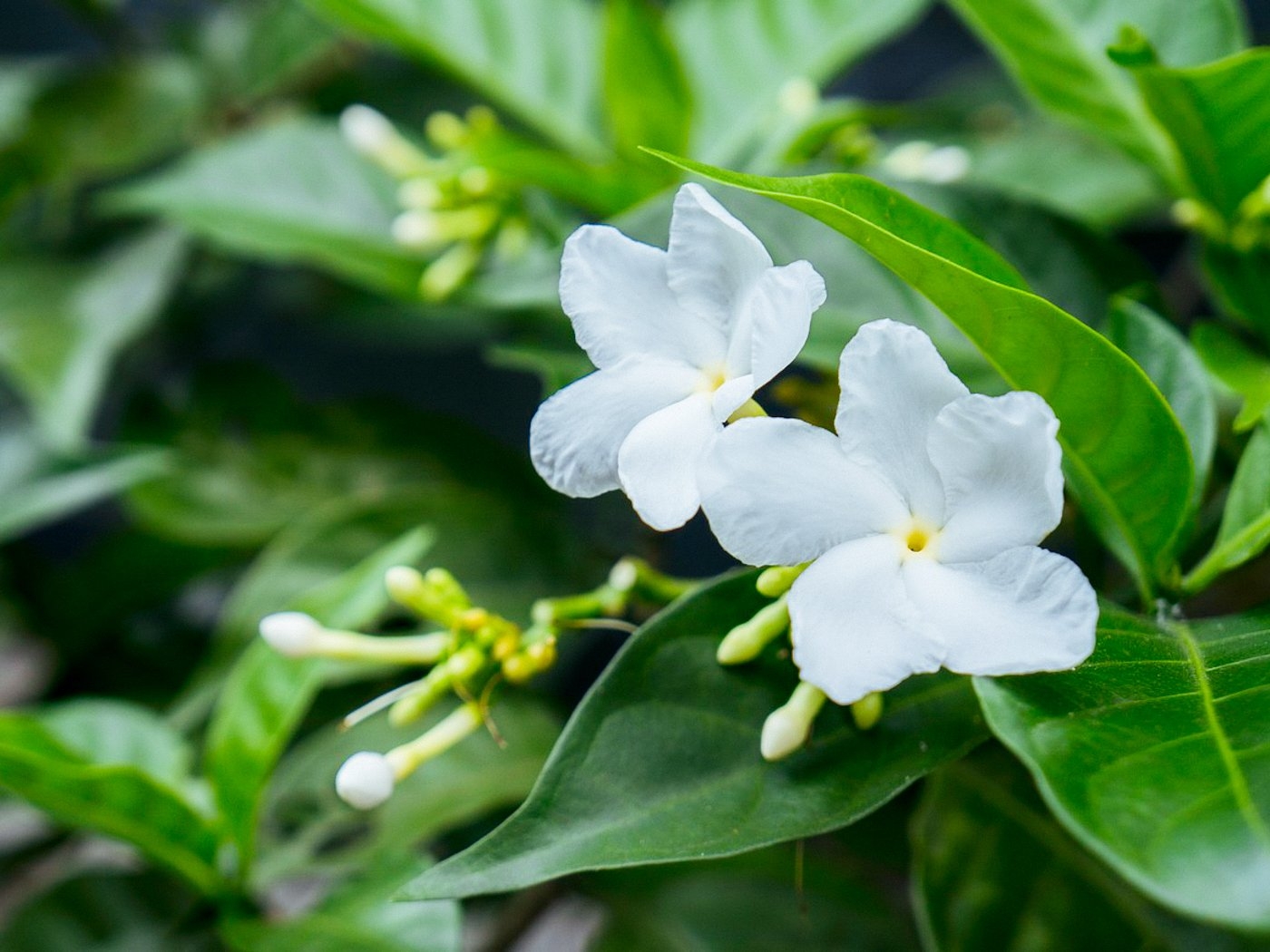 tu vi thu bay ngay 862019 cua 12 cung hoang dao