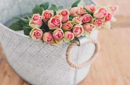 Tử vi thứ Năm ngày 20/6/2019 của 12 cung hoàng đạo