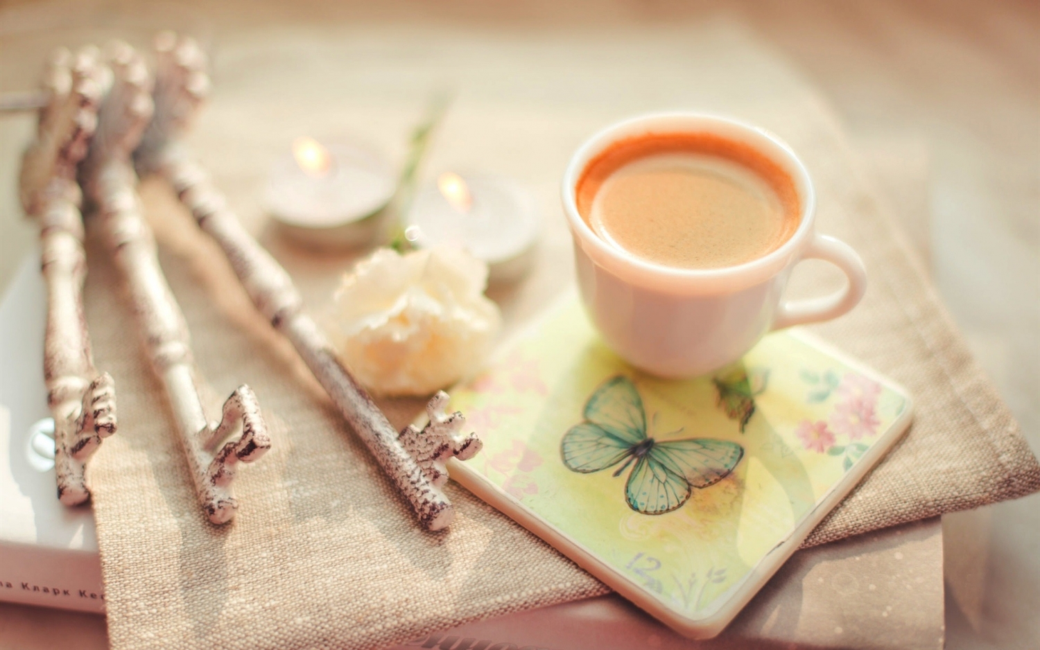 Tử vi tuần mới 26/4   2/5 của 12 cung hoàng đạo: