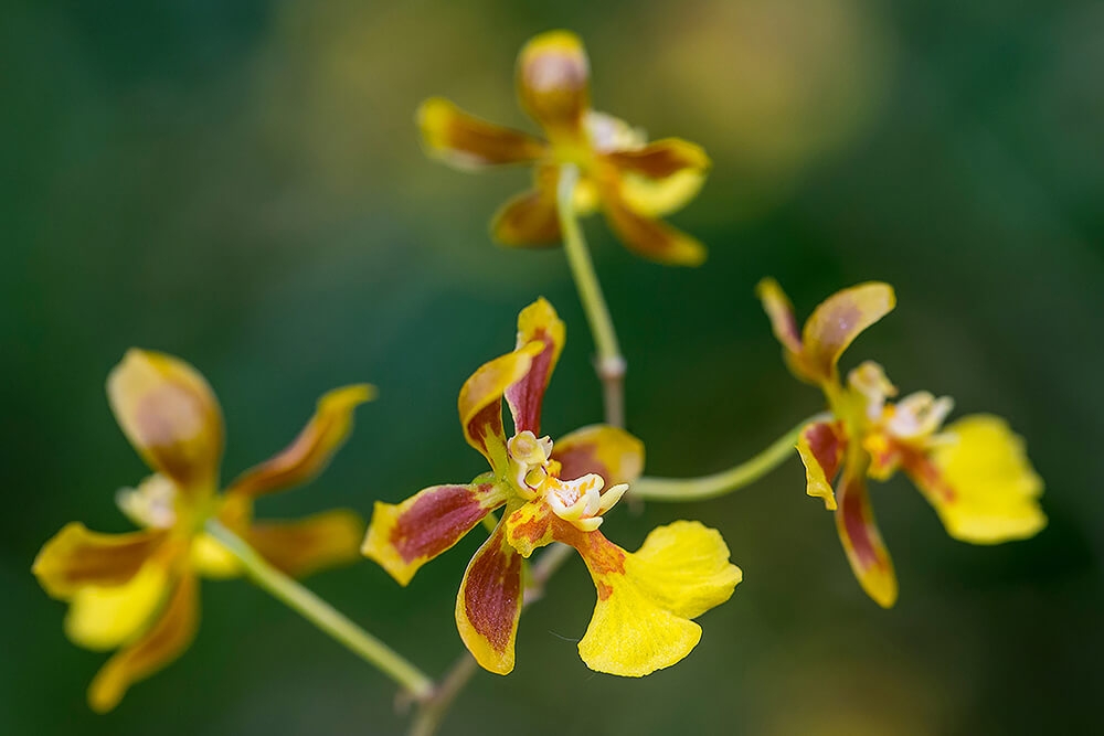 Tử vi ngày 27/11/2022: Tuổi Tỵ tài lộc đổ về, tuổi Hợi niềm tin sai chỗ Tử vi ngày 27/11/2022: Tuổi Tỵ tài lộc đổ về, tuổi Hợi niềm tin sai chỗ