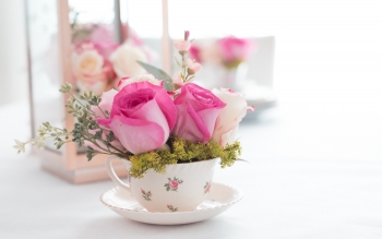 Tử vi Chủ nhật ngày 30/6/2019 của 12 cung hoàng đạo