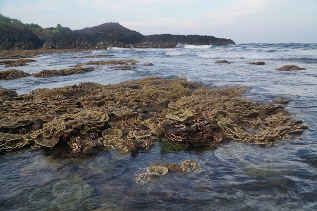 quang ngai kham pha rang san ho tuyet dep o ganh yen