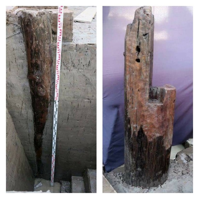 37 cọc gỗ được phát hiện dự đoán là cọc Bạch Đằng thời Trần