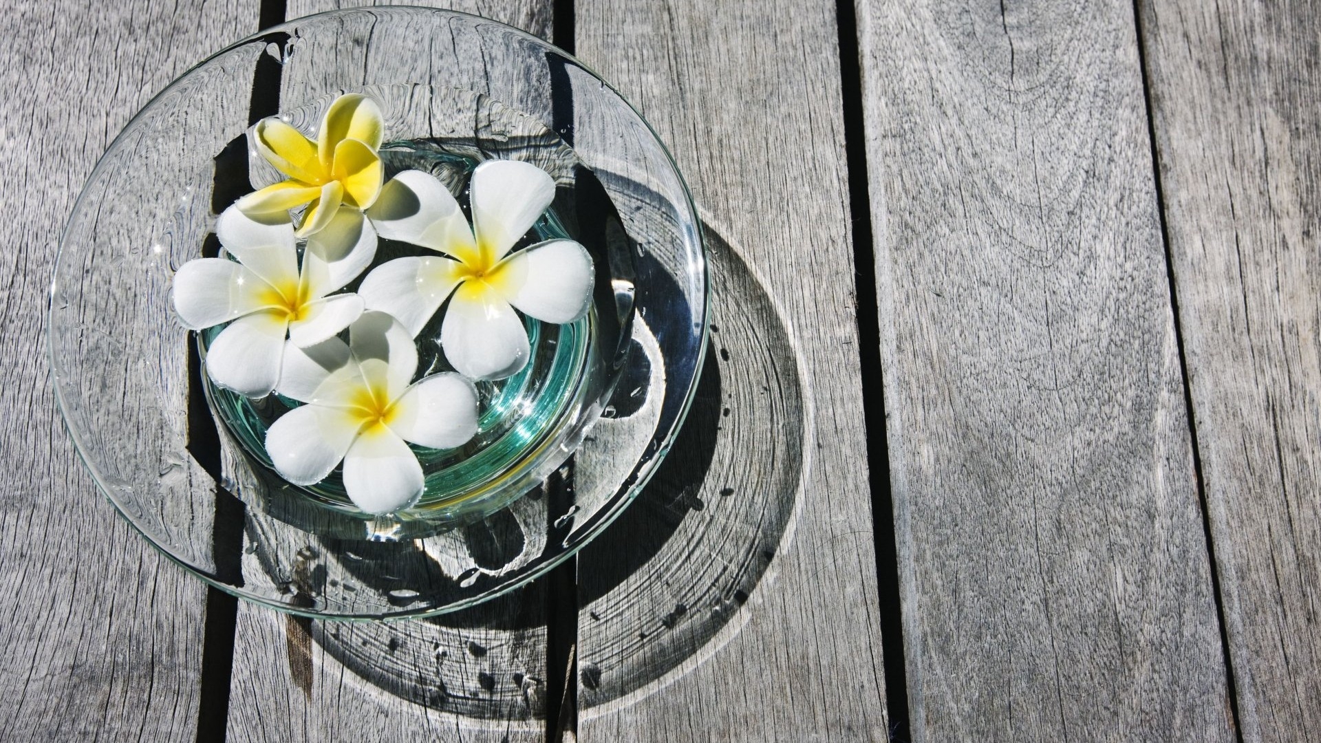 Tử vi ngày 1/6/2021 của 12 cung hoàng đạo: Song Tử nhiều năng lượng Tử vi ngày 1/6/2021 của 12 cung hoàng đạo: Song Tử nhiều năng lượng