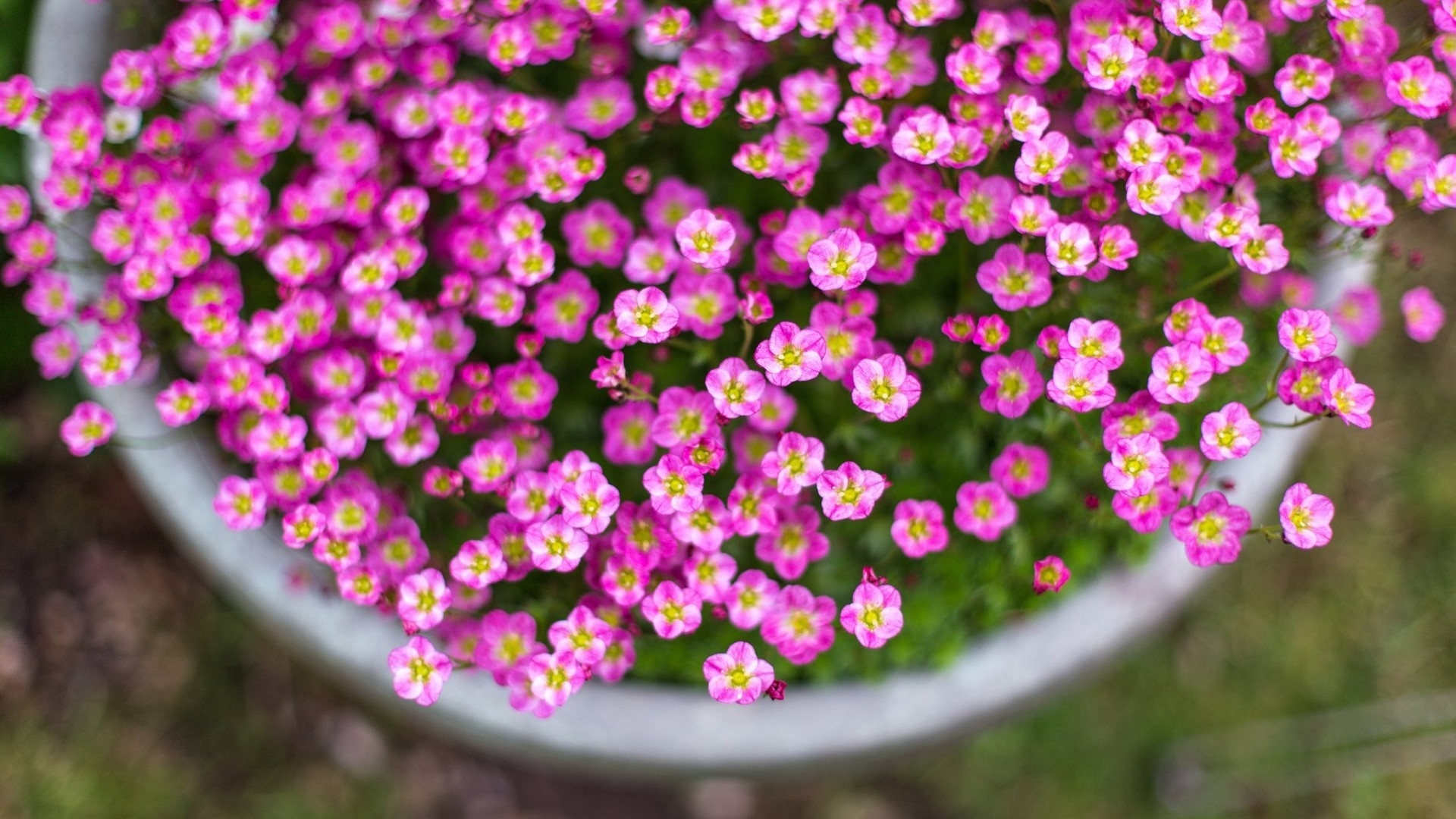 Tử vi ngày 11/4/2023 của 12 cung hoàng đạo: Cự Giải thiếu tự tin, Bảo Bình khó hiểu Tử vi ngày 11/4/2023 của 12 cung hoàng đạo: Cự Giải thiếu tự tin, Bảo Bình khó hiểu