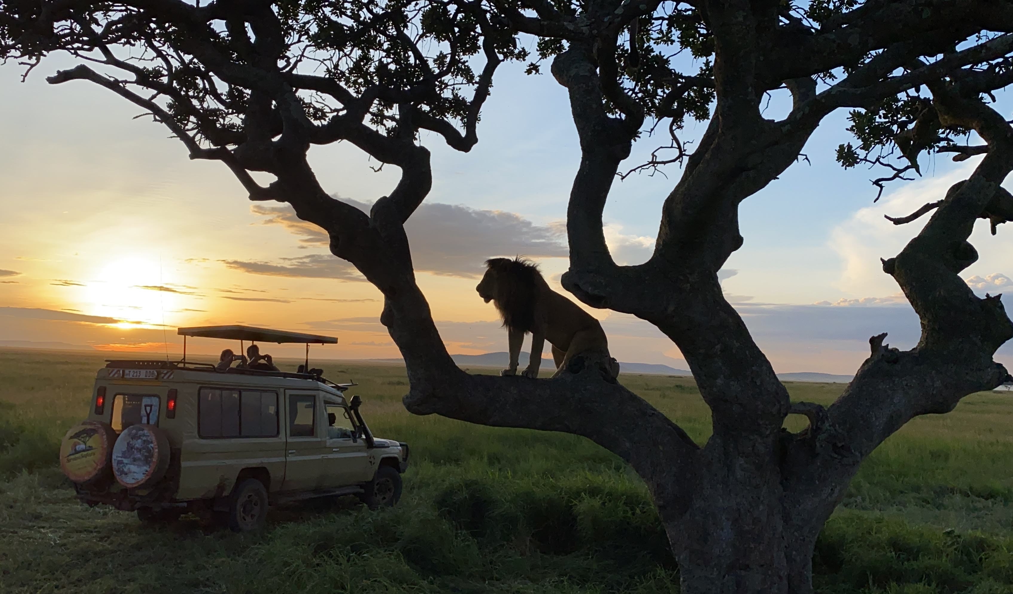 Chạm "thiên đường hoang dã"