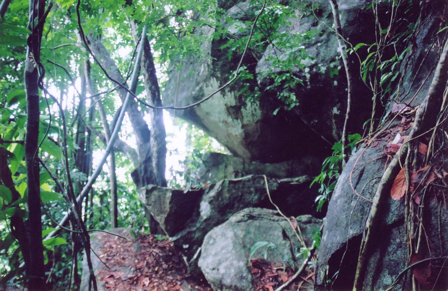 Chinh phục đỉnh Hòn Tàu