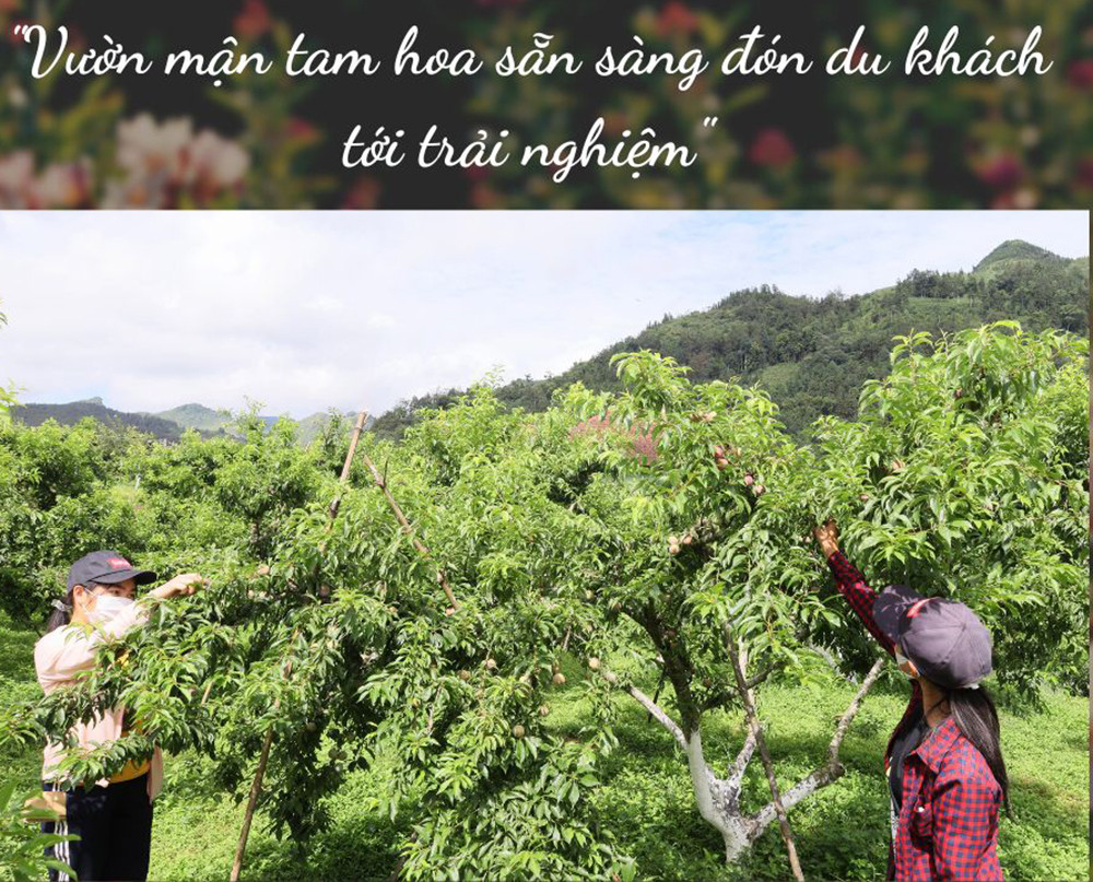 “Cao nguyên trắng” vào mùa lễ hội “Cao nguyên trắng” vào mùa lễ hội
