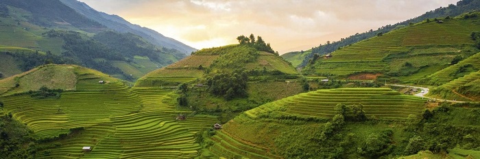 Khám phá 6 điểm đến thú vị cho những du khách “nghiện trà”