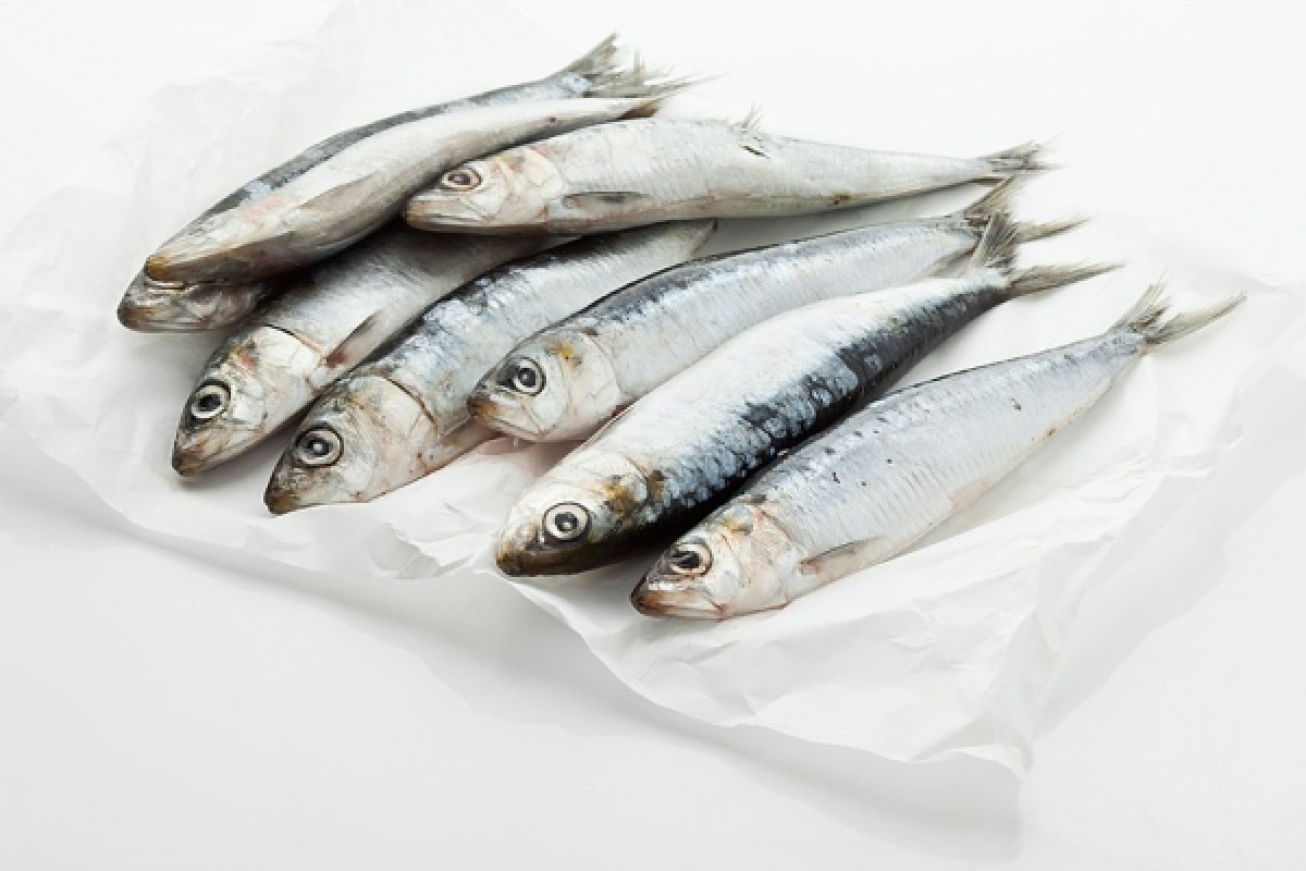 8 loại cá chứa nhiều Omega 3 nhất