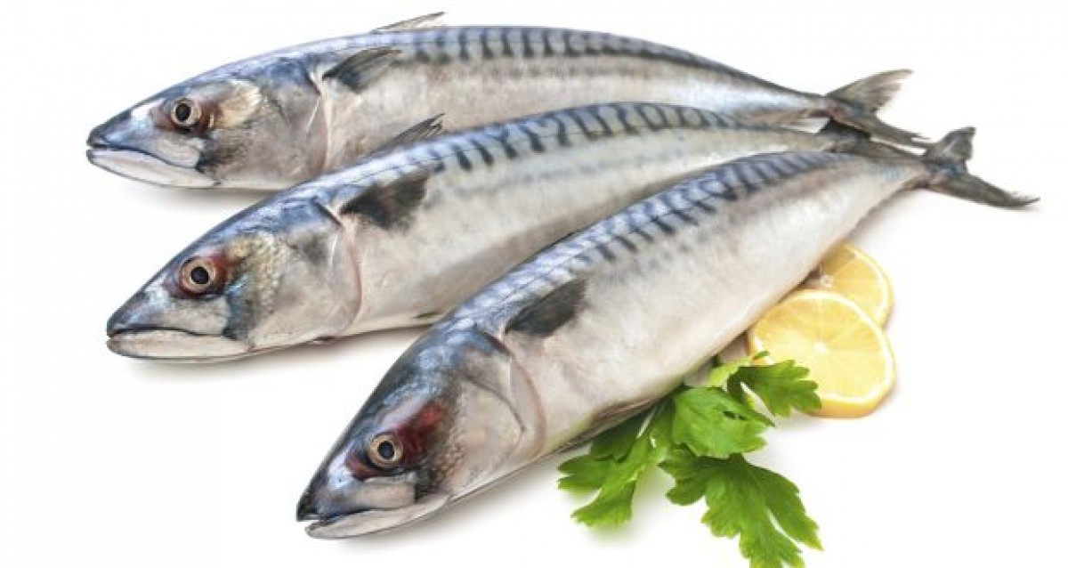 8 loại cá chứa nhiều Omega 3 nhất