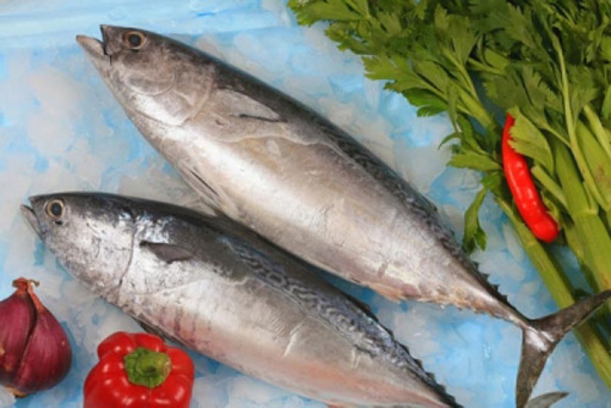 8 loại cá chứa nhiều Omega 3 nhất