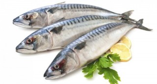 8 loại cá chứa nhiều Omega 3 nhất