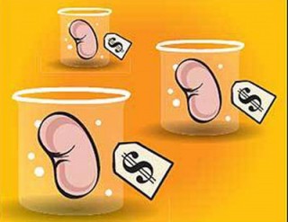 Phanh phui đường dây môi giới bán thận trên Internet