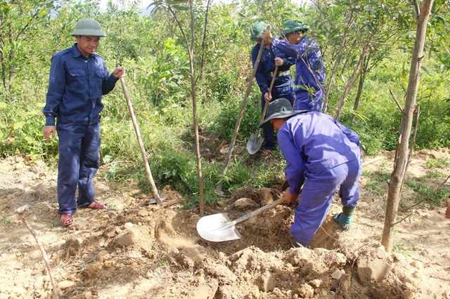 tim dong doi giua trung diep rung xanh