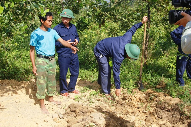 tim dong doi giua trung diep rung xanh