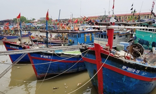hai phong quang ninh cam bien truoc khi bao mun do bo
