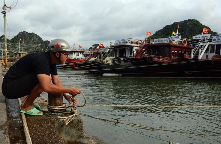 hai phong quang ninh cam bien truoc khi bao mun do bo