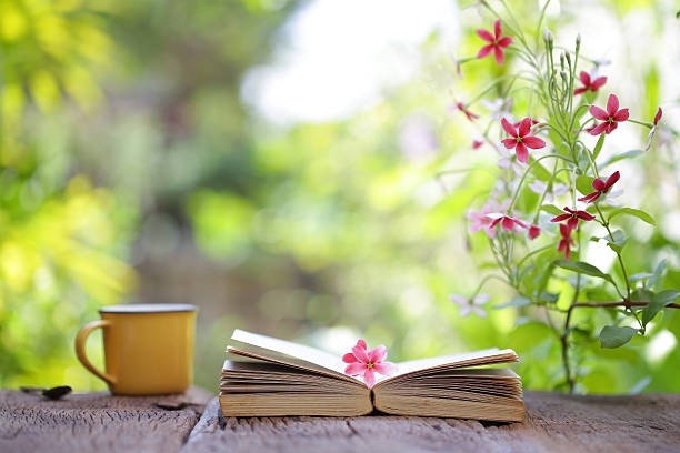 Tử vi ngày 15/5/2021 của 12 cung hoàng đạo: Bảo Bình tài chính ổn định