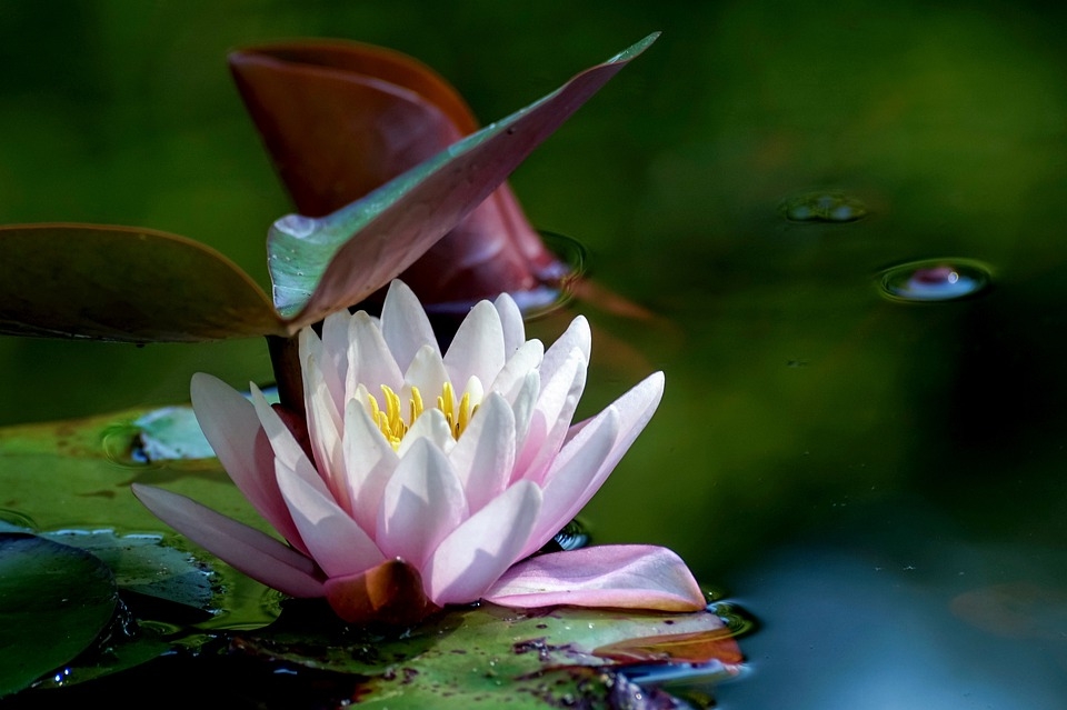 tu vi thu sau ngay 2672019 cua 12 cung hoang dao