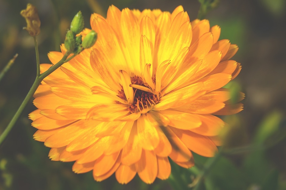 Tử vi ngày 11/4/2023 của 12 cung hoàng đạo: Cự Giải thiếu tự tin, Bảo Bình khó hiểu Tử vi ngày 11/4/2023 của 12 cung hoàng đạo: Cự Giải thiếu tự tin, Bảo Bình khó hiểu