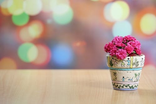 Tử vi tháng 1/2021 của 12 cung hoàng đạo
