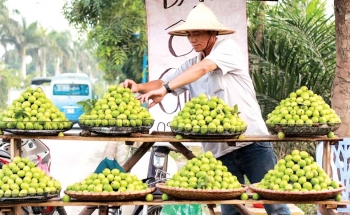 Những làng quả ngọt