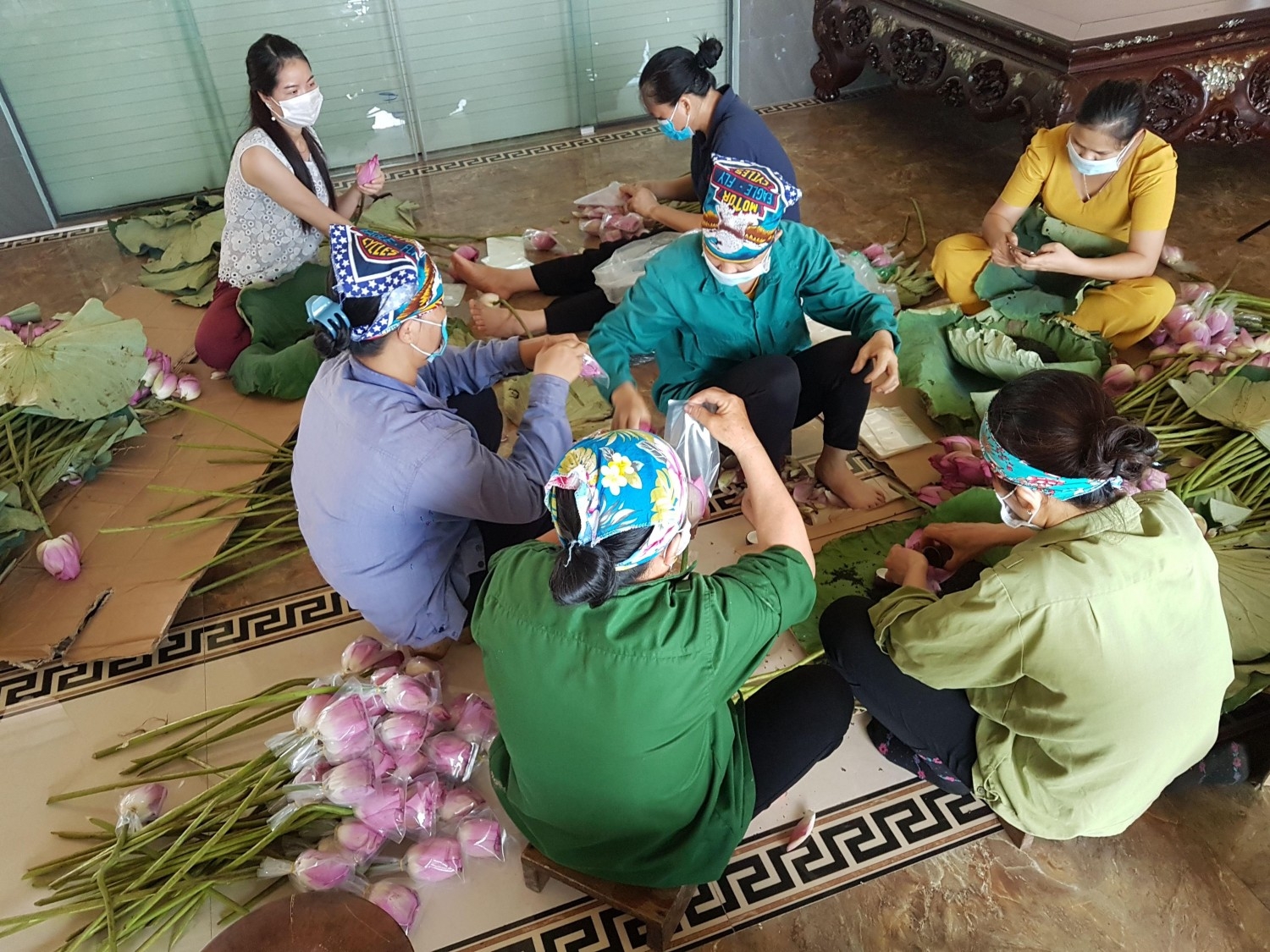 Công tác ủ hương cho chè được các công nhân hợp tác xã thực hiện