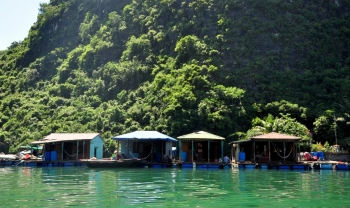 Khám phá làng chài cổ trên Vịnh Hạ Long