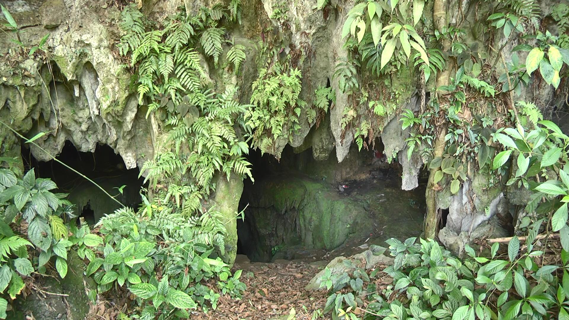 Lào Cai: Hấp dẫn động Na Măng (Mường Khương)