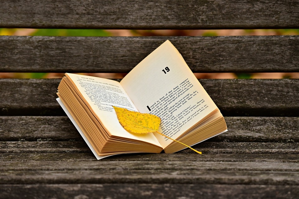 Tử vi ngày 4/2/2023 của 12 cung hoàng đạo: Kim Ngưu nên tiết chế cảm xúc, Bọ Cạp lãng mạn