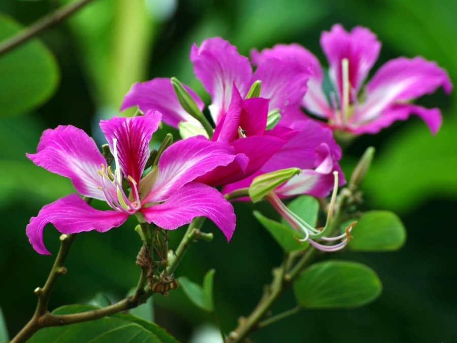 Tử vi ngày 21/3/2021 của 12 cung hoàng đạo: Nhân Mã sáng tạo