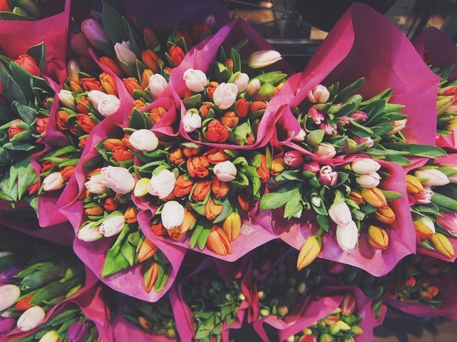 tu vi chu nhat ngay 2582019 cua 12 cung hoang dao