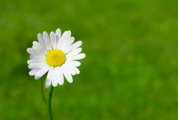 Tử vi thứ Năm ngày 29/8/2019 của 12 cung hoàng đạo