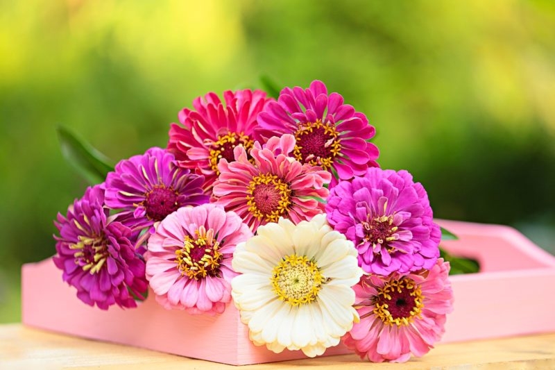 Tử vi ngày 6/1/2023 của 12 cung hoàng đạo: Bạch Dương nhạy cảm, Bảo Bình tính kỷ luật cao