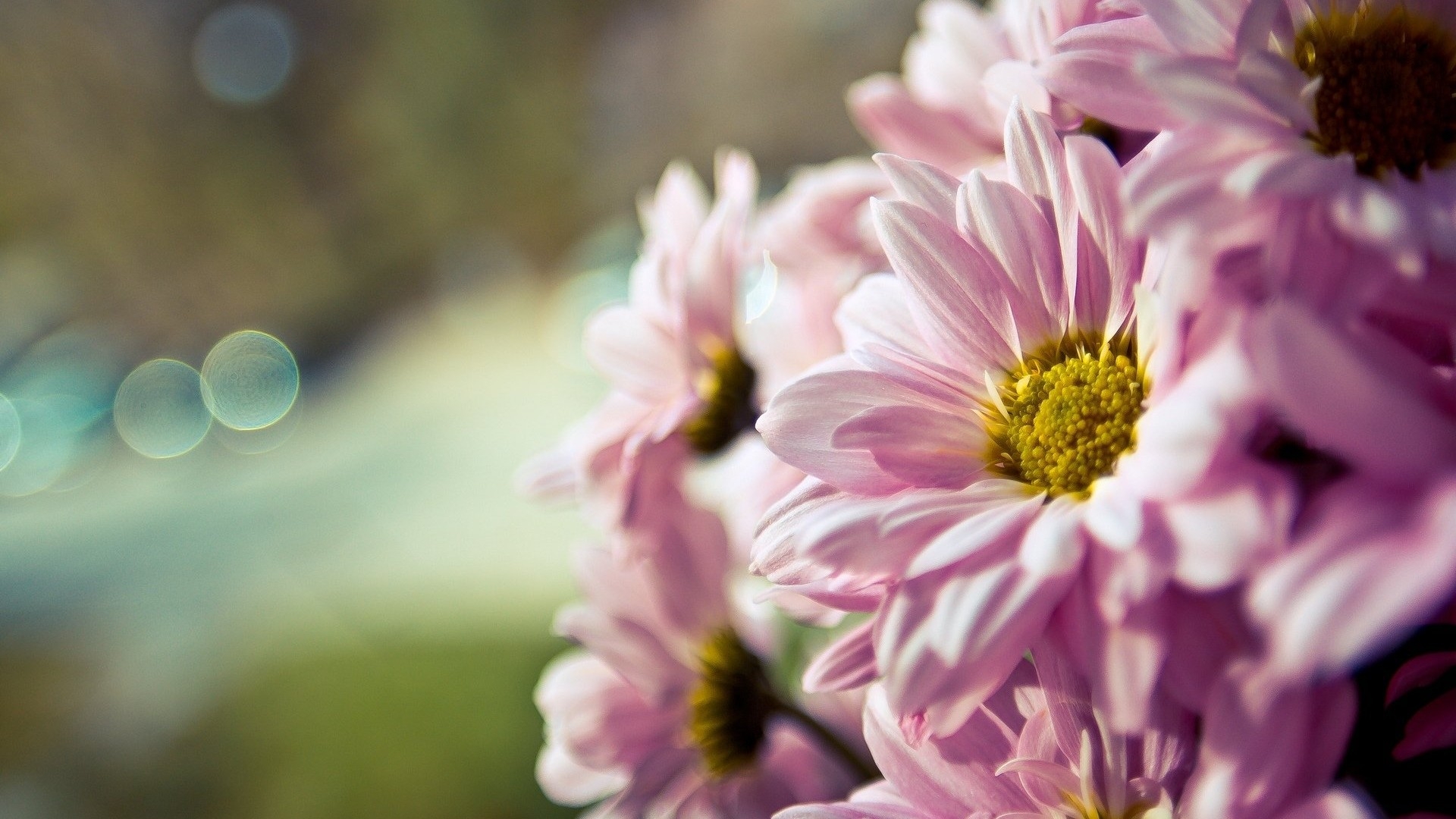 Tử vi ngày 1/6/2021 của 12 cung hoàng đạo: Song Tử nhiều năng lượng Tử vi ngày 1/6/2021 của 12 cung hoàng đạo: Song Tử nhiều năng lượng