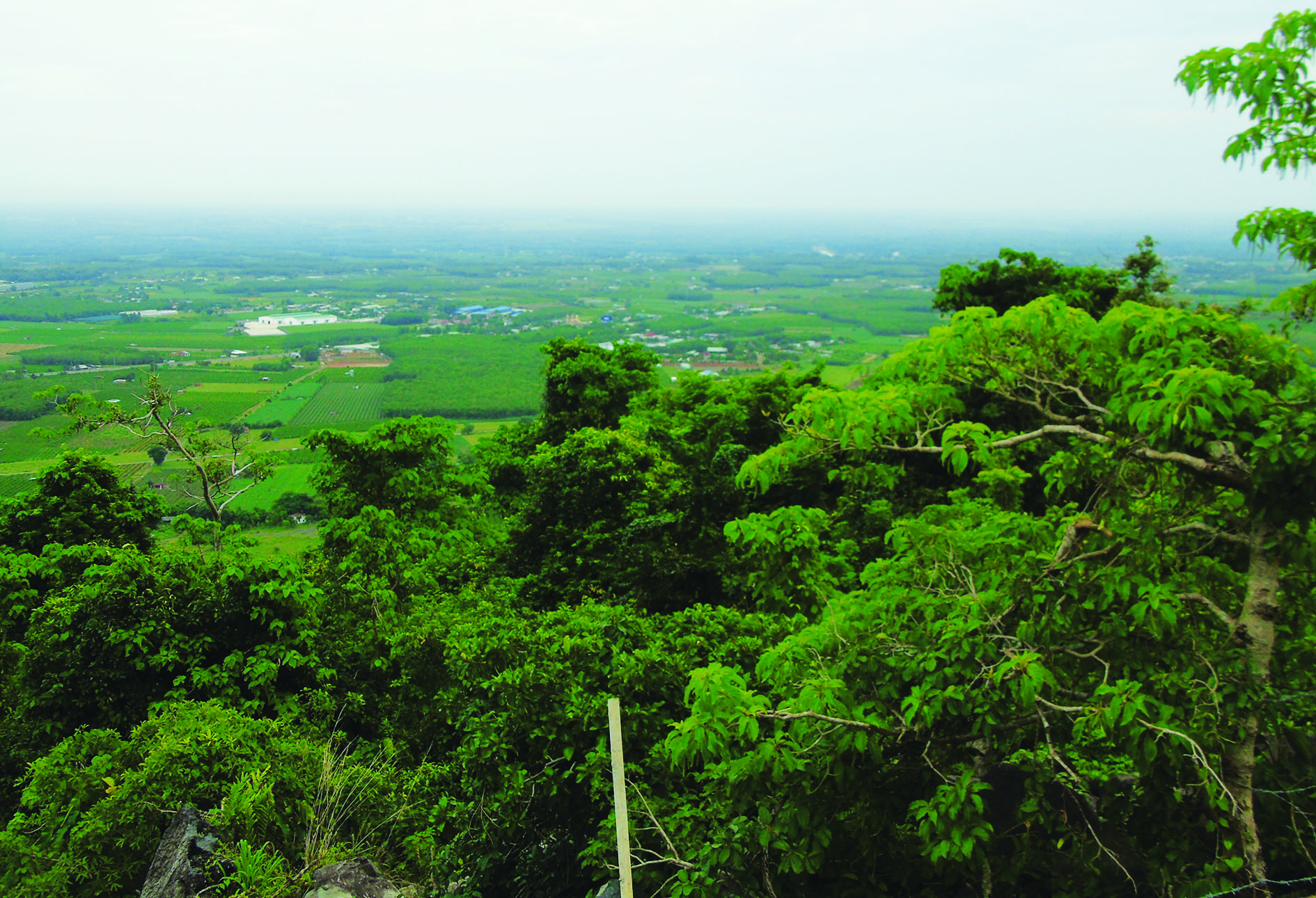 Tây Ninh: Bãi đá chuông trên núi Heo Tây Ninh: Bãi đá chuông trên núi Heo