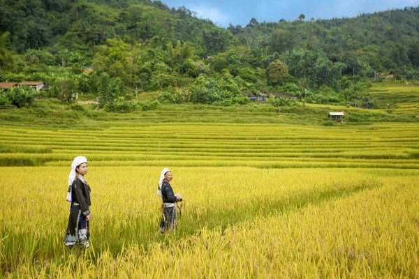 Hấp dẫn du lịch cộng đồng tại Hoài Khao (Cao Bằng)