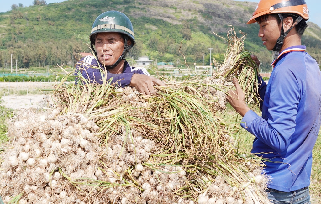 Công bố 11 đề cử ẩm thực, đặc sản Việt Nam xác lập kỷ lục châu Á