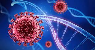 WHO: Virus COVID-19 tiếp tục lây lan nhanh