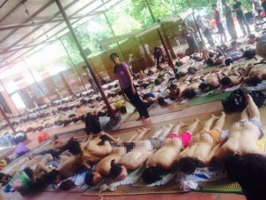 Chữa bách bệnh chỉ bằng… giẫm đạp?