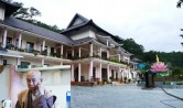 co mot hoa thuong di ban lan
