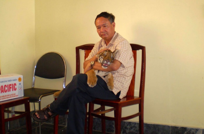 tai sao lai bi ho vo