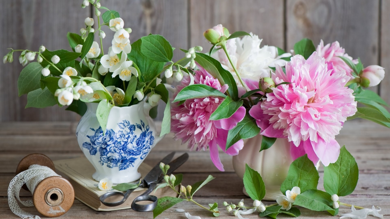 tu vi thu nam ngay 592019 cua 12 cung hoang dao