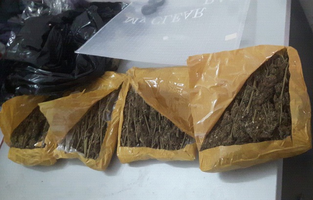 tam giu 2 sinh vien buon ban ma tuy voi gan 15 kg can sa
