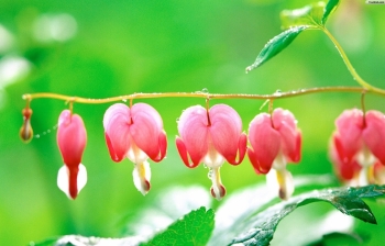 Tử vi tuần mới 5/4 - 11/4 của 12 cung hoàng đạo: Nhân Mã cần chủ động