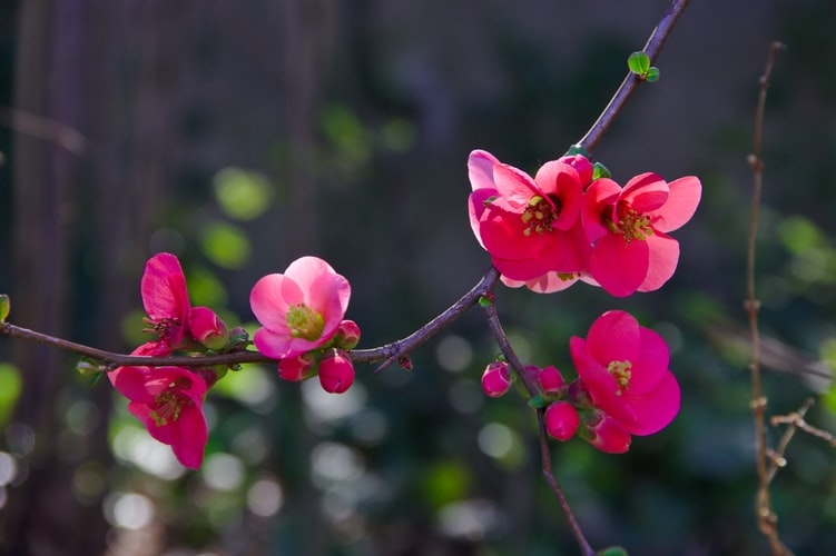 Tử vi ngày 15/1/2022 của 12 cung hoàng đạo: Sư Tử mâu thuẫn, Bọ Cạp quyết đoán