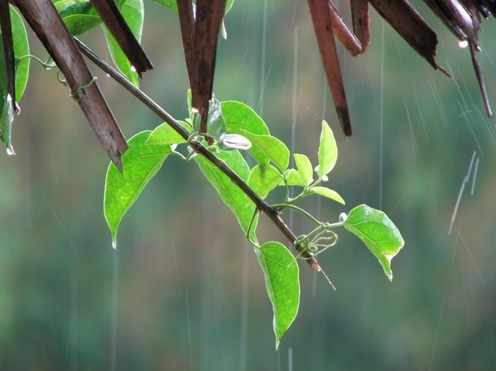 Thời tiết hôm nay ngày 27/9/2021: