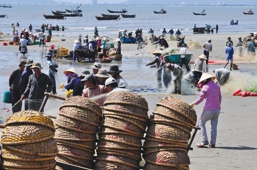 Cuộc sống bình dị tại làng chài ven biển Bình Định
