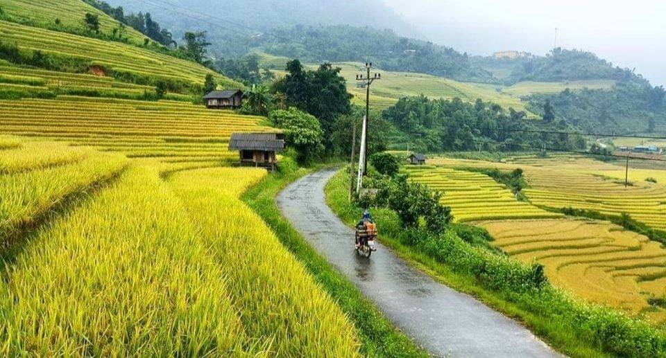 Các điểm “săn mùa vàng” đẹp nhất Lai Châu tháng 9